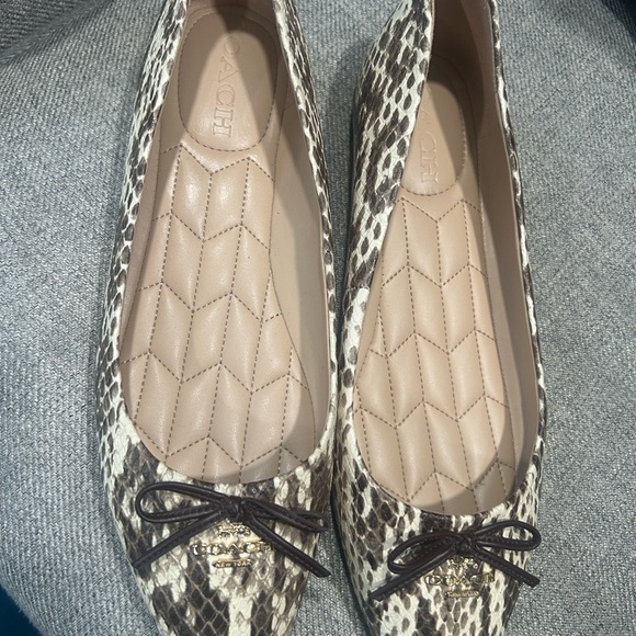 Coach beautiful pointy flat - Picture 2 of 6